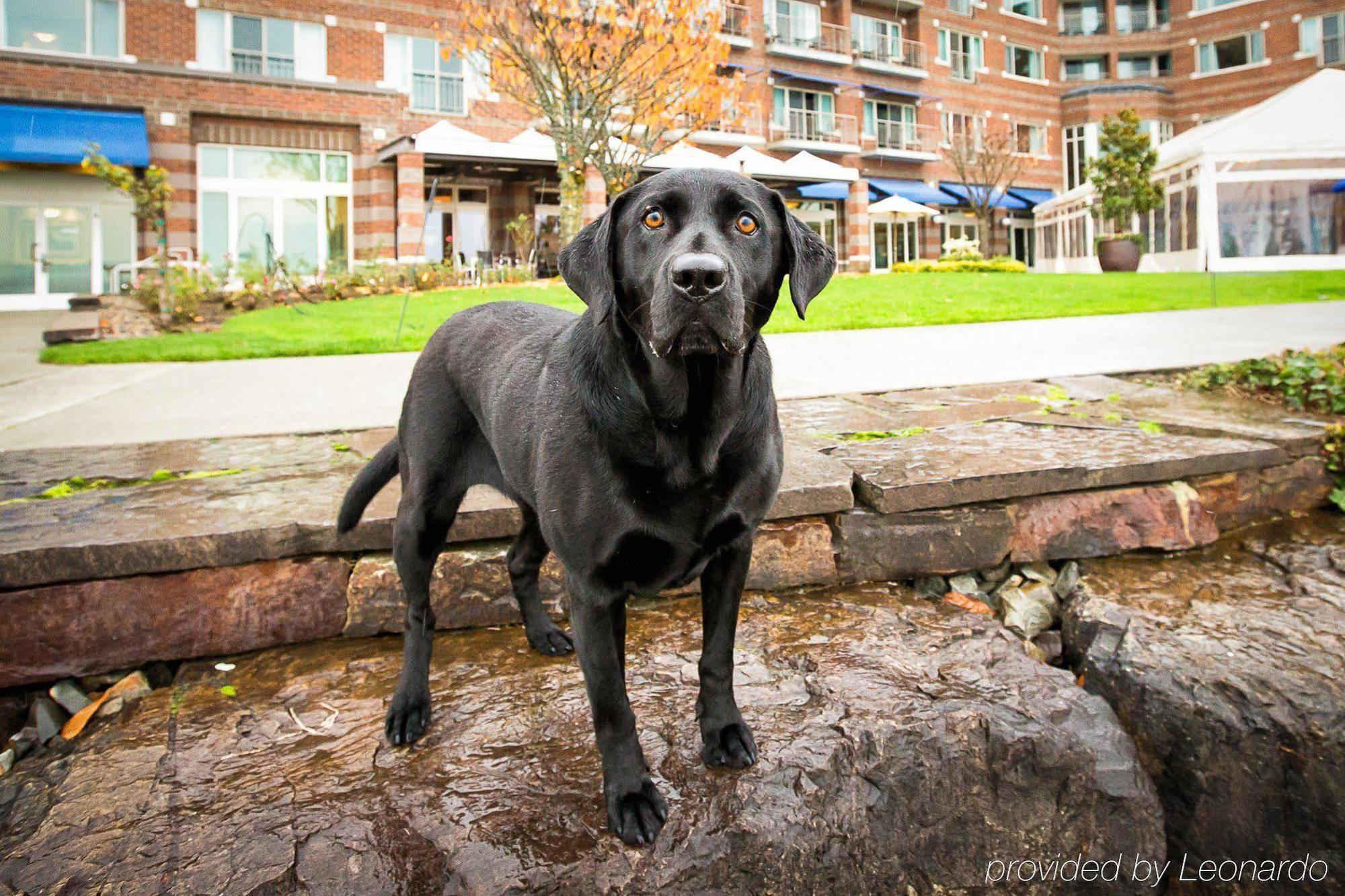 Woodmark Hotel & Still Spa Kirkland Esterno foto